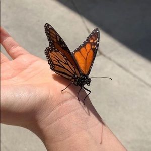 Meet your Posher, Carly